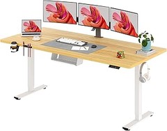 Dónde comprar escritorios elevables silenciosos en línea