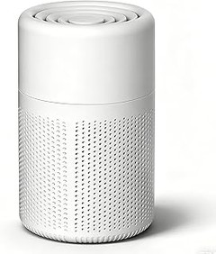 Descubre los mejores purificadores de aire fáciles de mantener para tu hogar