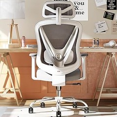 Comparativa: Sillas Ergonómicas frente a Sillas Tradicionales