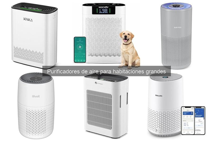 Alternativas a los purificadores de aire para mejorar la calidad