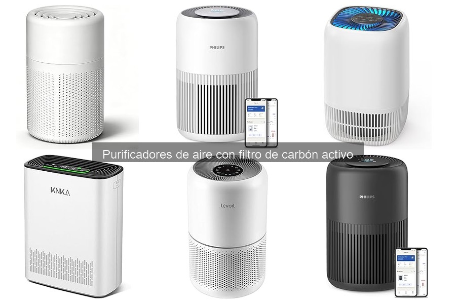 Alternativas a purificadores de aire con carbón activo