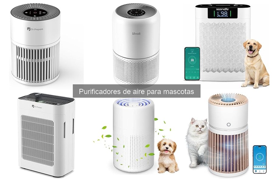 Alternativas a purificadores de aire para alérgenos de mascotas