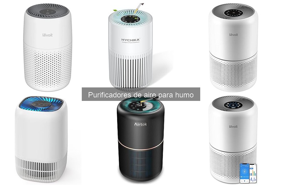Alternativas Efectivas a Purificadores de Aire para Humo