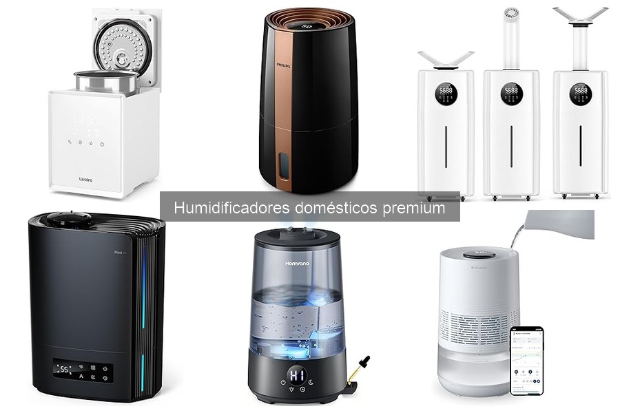 Beneficios de un Humidificador Premium en Invierno
