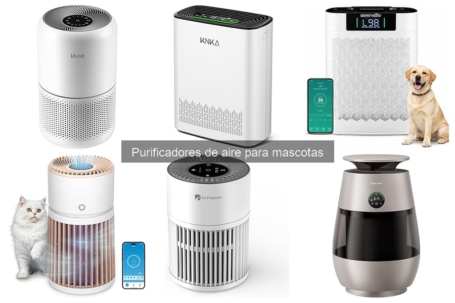 Cómo elegir el purificador de aire ideal para mascotas