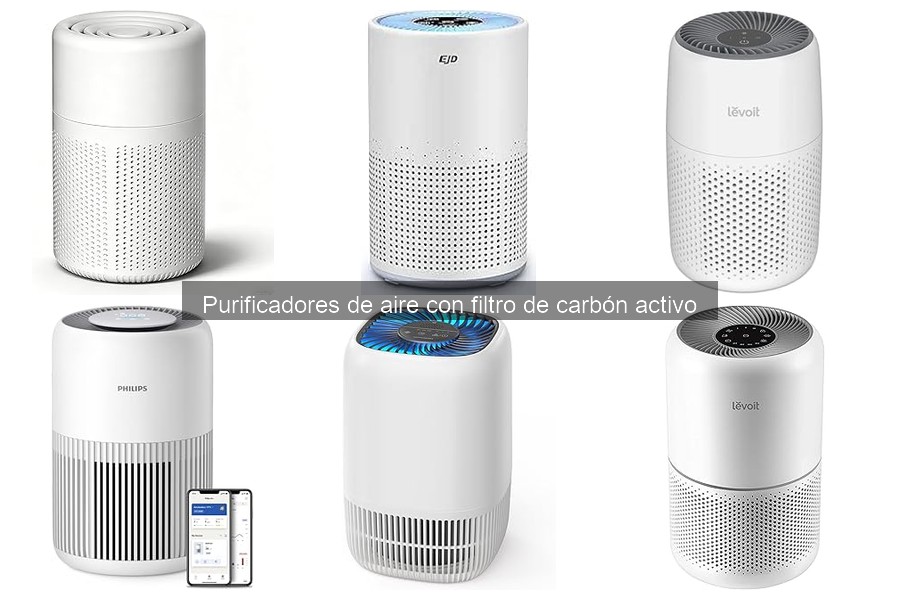 ¿Cómo elegir un purificador de aire con filtro de carbón activo?