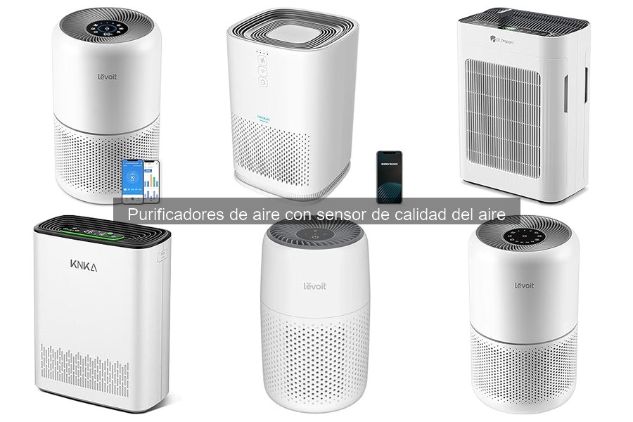 Cómo elegir un purificador de aire con sensor de calidad