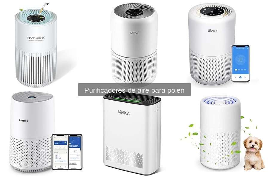 Cómo usar un purificador de aire para polen correctamente