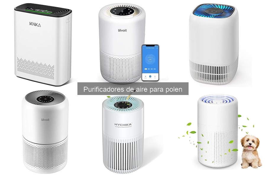 Comparativa Filtros HEPA vs Otros Purificadores de Aire