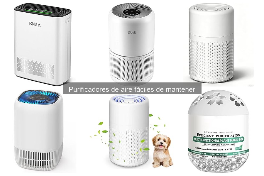 Consejos para el Mantenimiento Eficaz de Purificadores de Aire