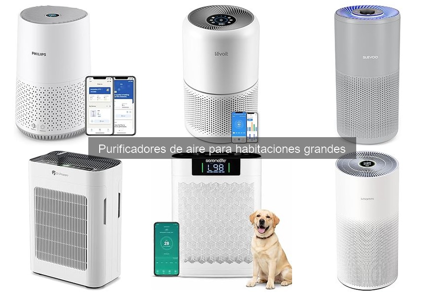 Consejos para maximizar el uso de purificadores de aire