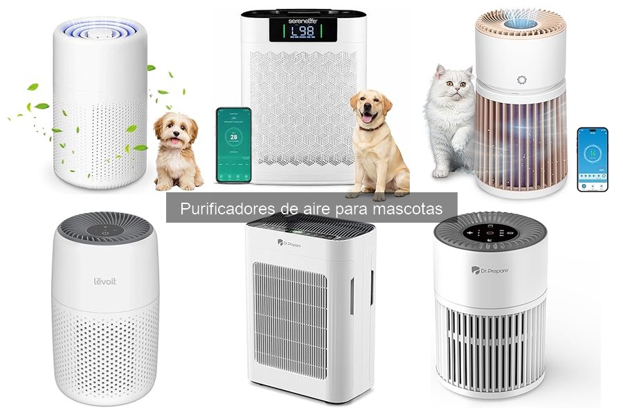 ¿Cuánto cuesta un purificador de aire para mascotas?