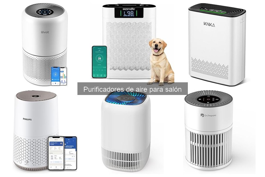 ¿Cuánto cuesta un purificador de aire y dónde comprarlo?