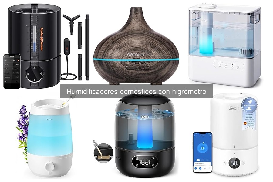 Efectos de la humedad inadecuada en el hogar y soluciones