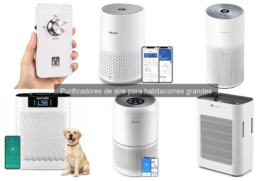 Efectos de un purificador de aire en la salud respiratoria