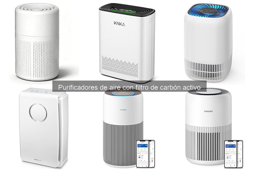 Errores comunes al elegir un purificador de aire con carbón activo