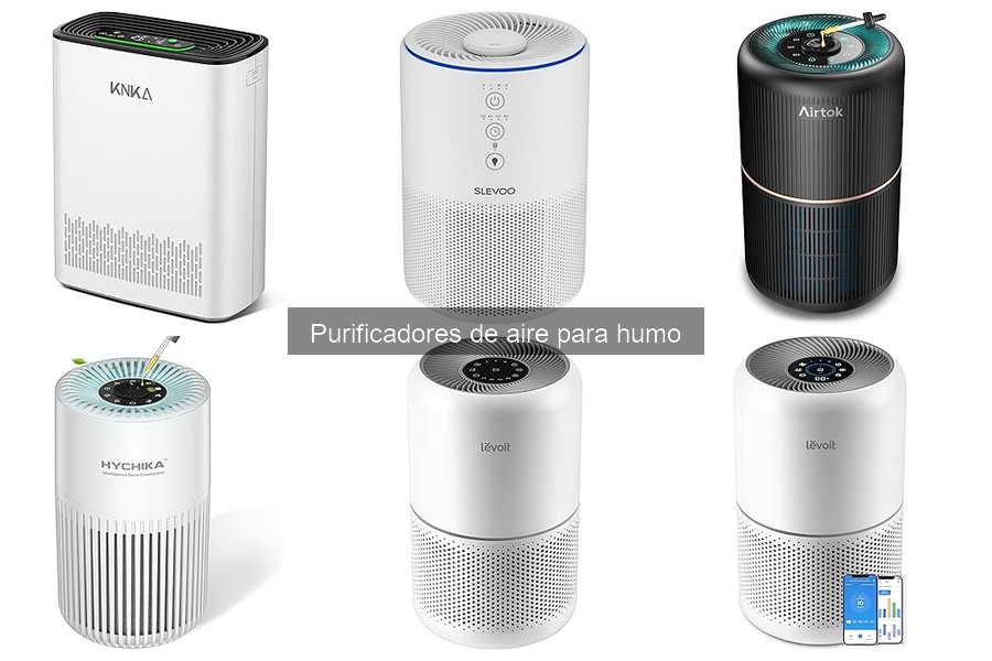 Guía para elegir el purificador de aire adecuado para humo