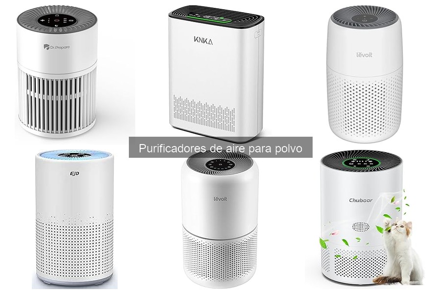 Impacto de los Purificadores de Aire en la Salud Respiratoria