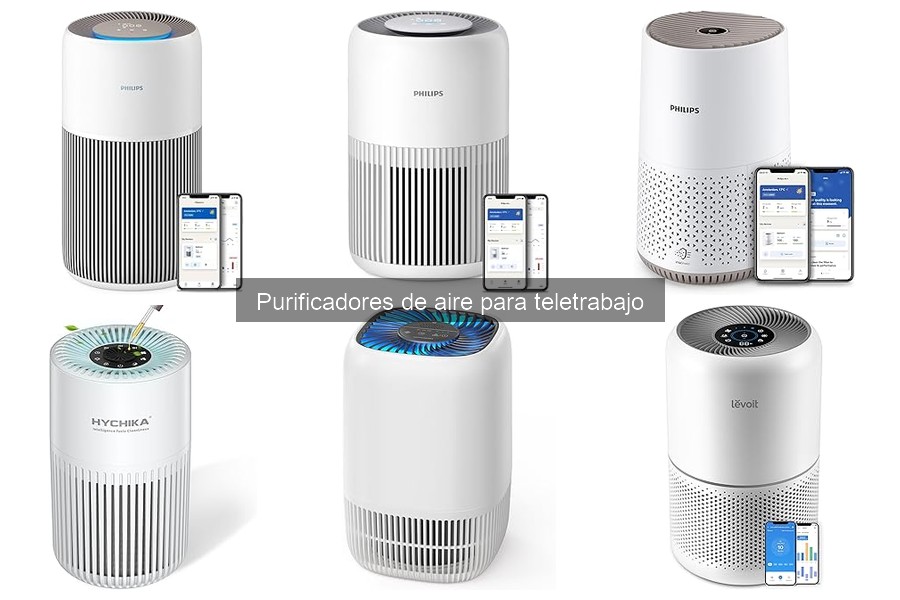Mantenimiento de Purificadores de Aire: ¿Cada Cuánto Cambiar el Filtro?