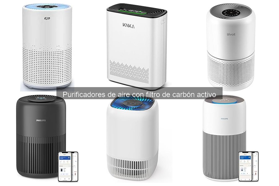 Mantenimiento de purificadores de aire con filtro de carbón activo