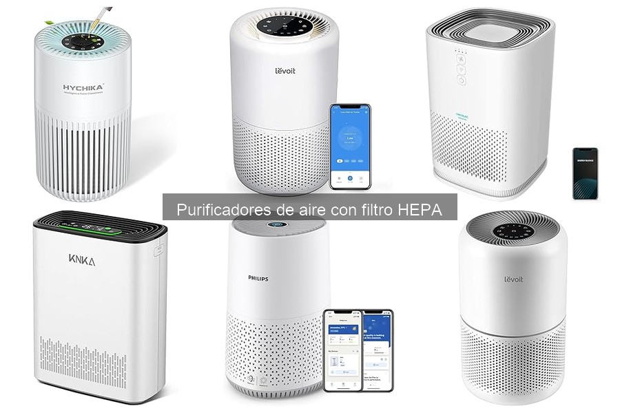 Mantenimiento de Purificadores de Aire con Filtro HEPA