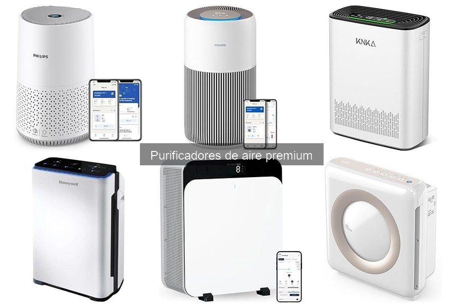 Mantenimiento de Purificadores de Aire Premium: Guía Práctica