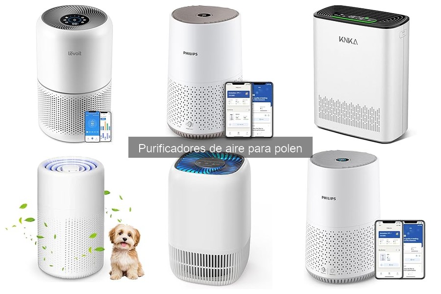 Mejores lugares para comprar purificadores de aire para polen
