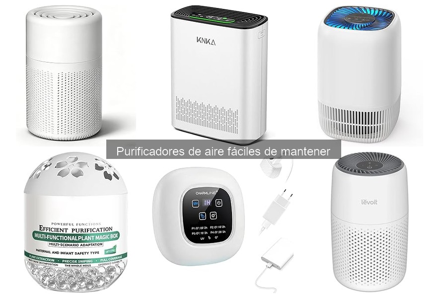 Mejores purificadores de aire fáciles de mantener para el hogar