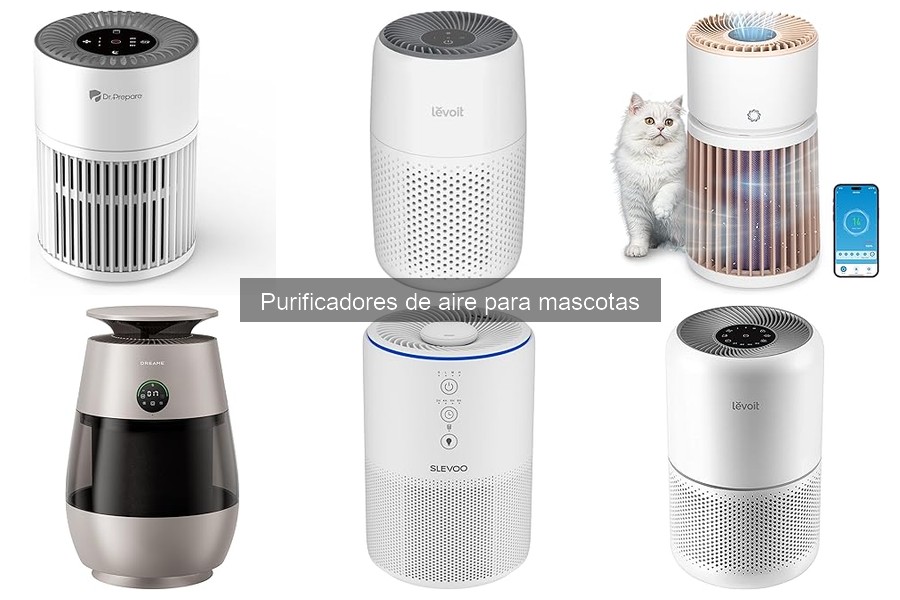 Mejores purificadores de aire para hogares con gatos