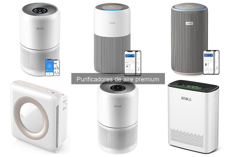 Mitos sobre purificadores de aire premium: Desmentidos y realidades
