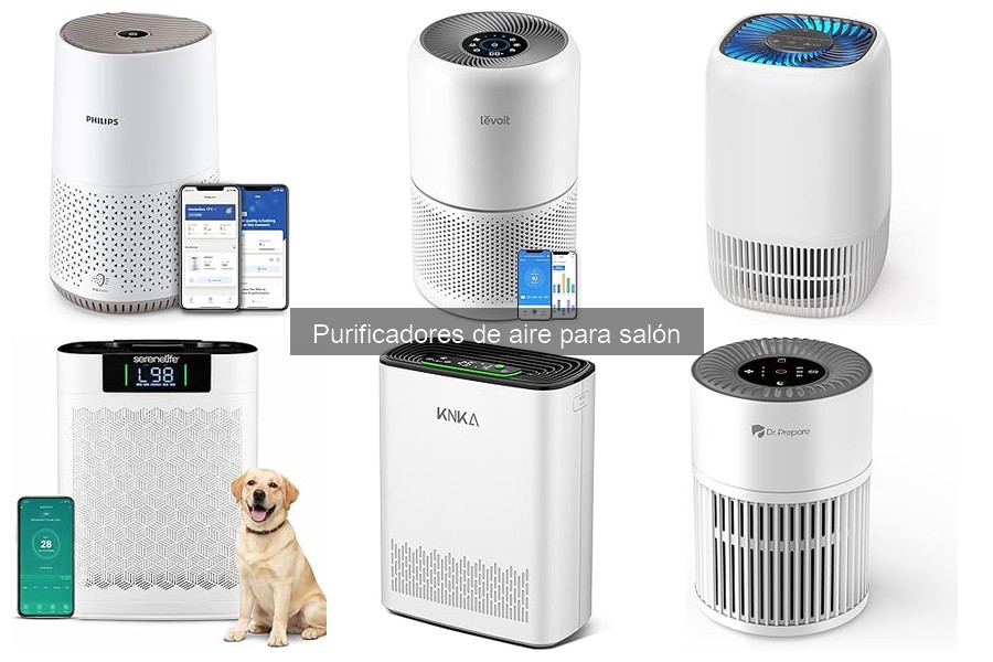 Opiniones sobre purificadores de aire para salón