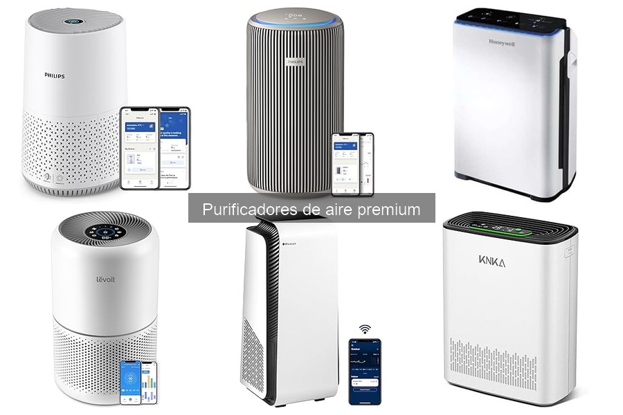 ¿Por qué elegir un purificador de aire premium?