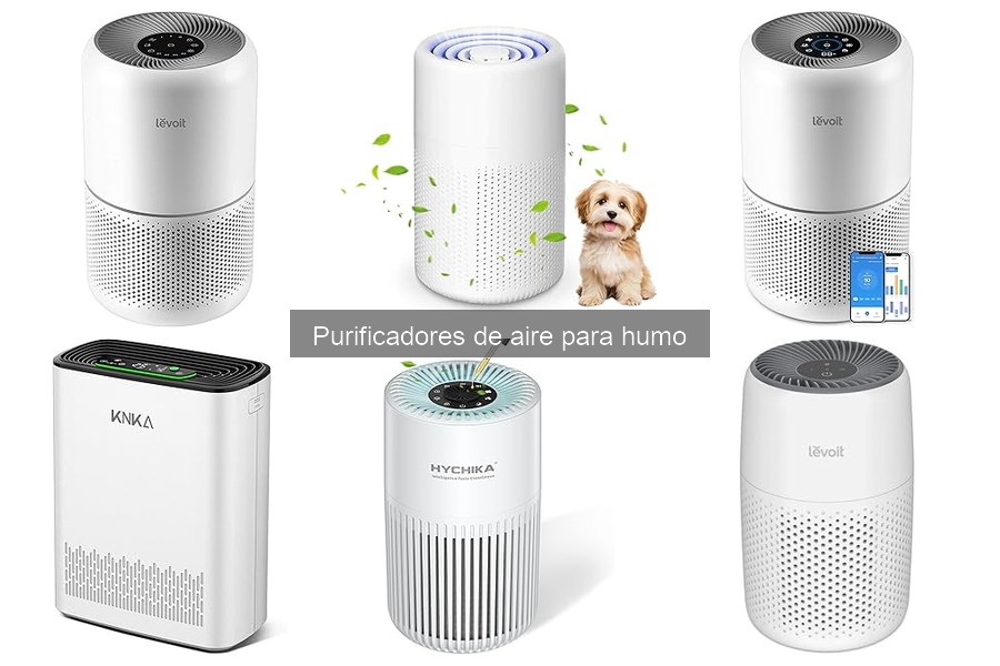 Precios de purificadores de aire para humo en 2023