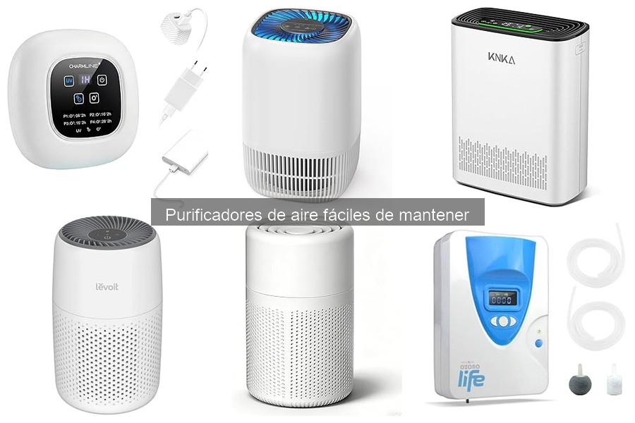 Purificadores de aire fáciles de mantener: características clave