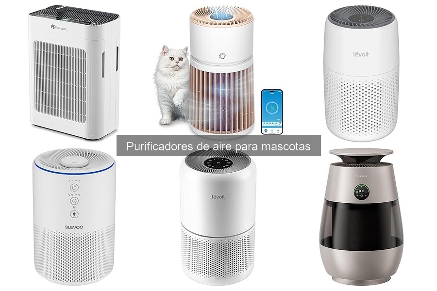¿Qué es un purificador de aire para mascotas? Beneficios y funciones