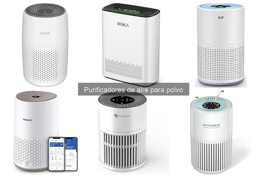 ¿Son útiles los purificadores de aire en climas húmedos?