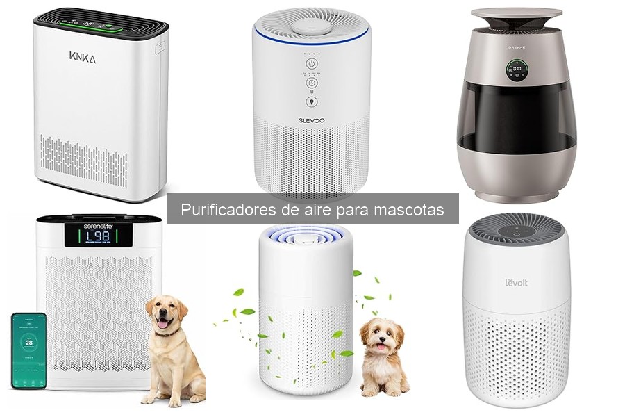 Testimonios sobre purificadores de aire para hogares con perros
