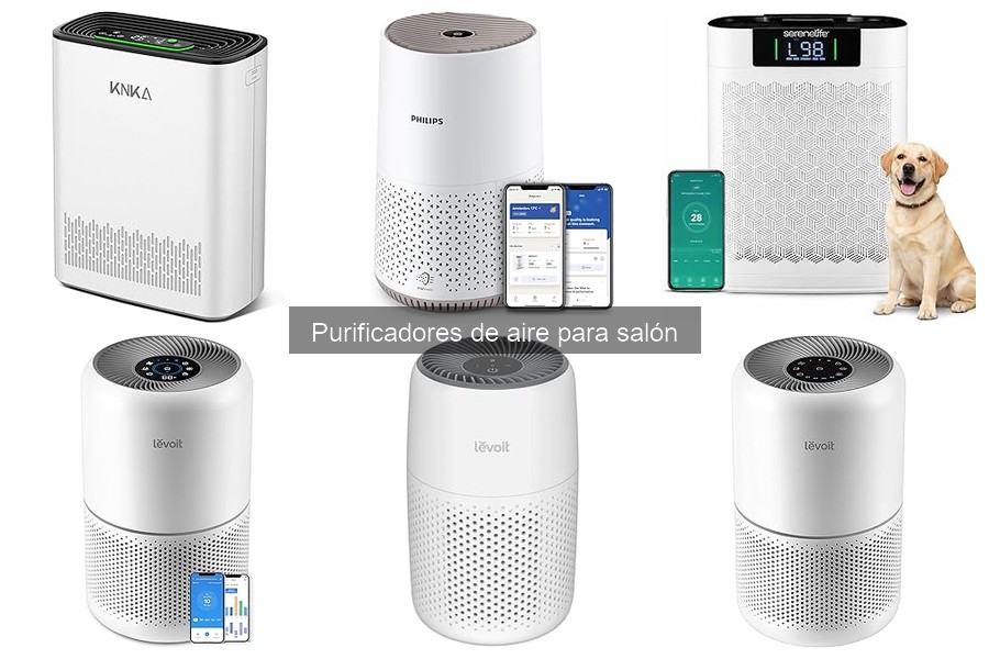 Tipos de purificadores de aire para salón: características y usos