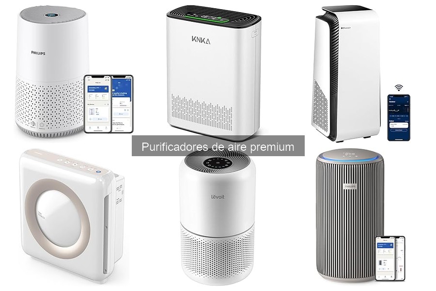 Ventajas y desventajas de los purificadores de aire premium